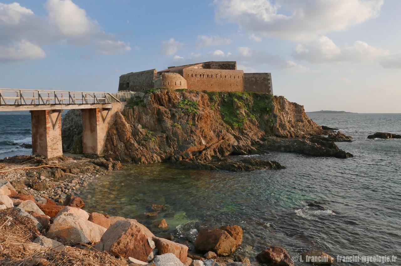 Bel Appart Renove - La Boheme Hyères Buitenkant foto
